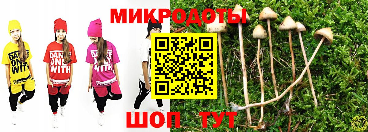 Псилоцибиновые грибы мицелий  Вход с VPN  купить закладку  Краснодар  Галлюциногенные грибы прущие грибы 