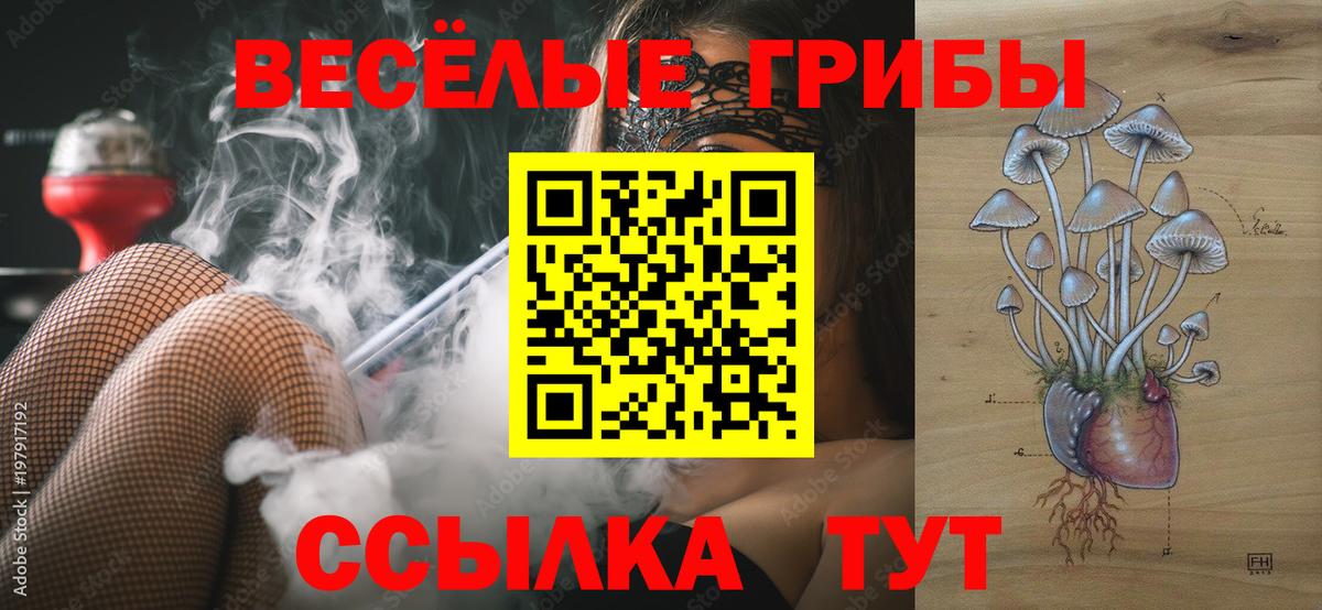 Псилоцибиновые грибы мухоморы Краснодар